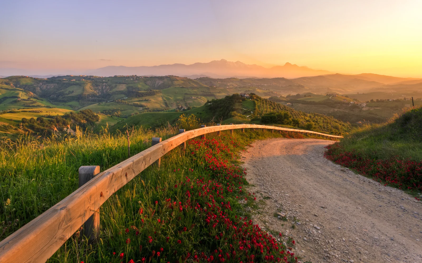 夕陽照耀著起伏的綠色丘陵、遠山和穿過花叢的土路。