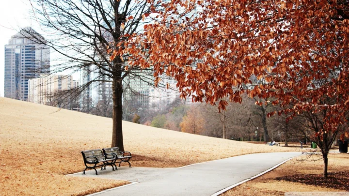 가을 나뭇잎이 드리운 도시 공원에서 벤치 옆 산책로가 잔디밭을 가로지르고 멀리 고층 건물이 보인다.
