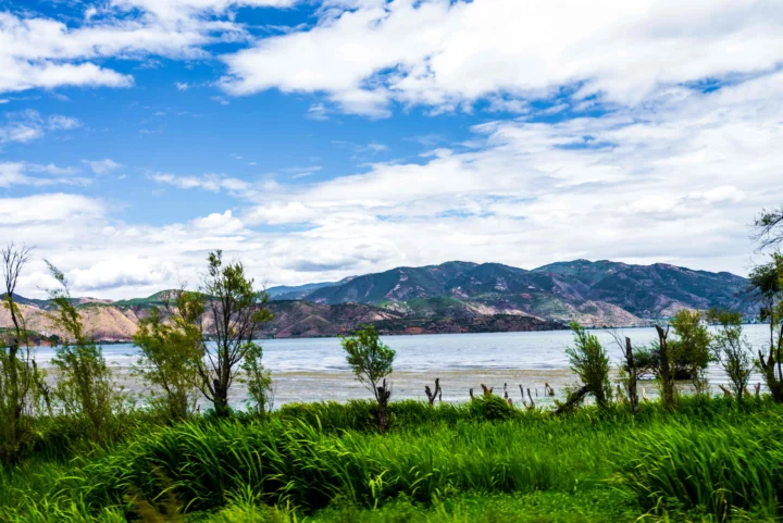 湖水、远山、青草与蓝天白云共同构成一幅明亮的自然风景画面。