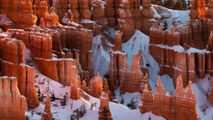 积雪覆盖的红色岩柱峡谷在光线下呈现出鲜明的橙红色与白色层次。