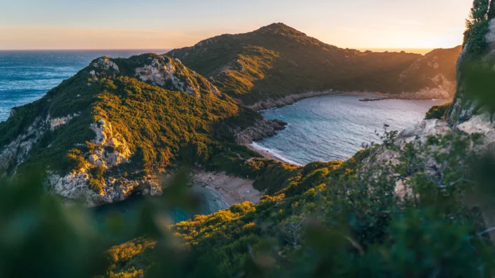 夕阳照耀下的海岸山脉环抱着宁静的海湾，前景点缀着茂密植被。