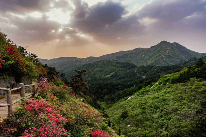 夕阳穿过云层照亮了繁花盛开的山谷、茂密森林和远处的群山。