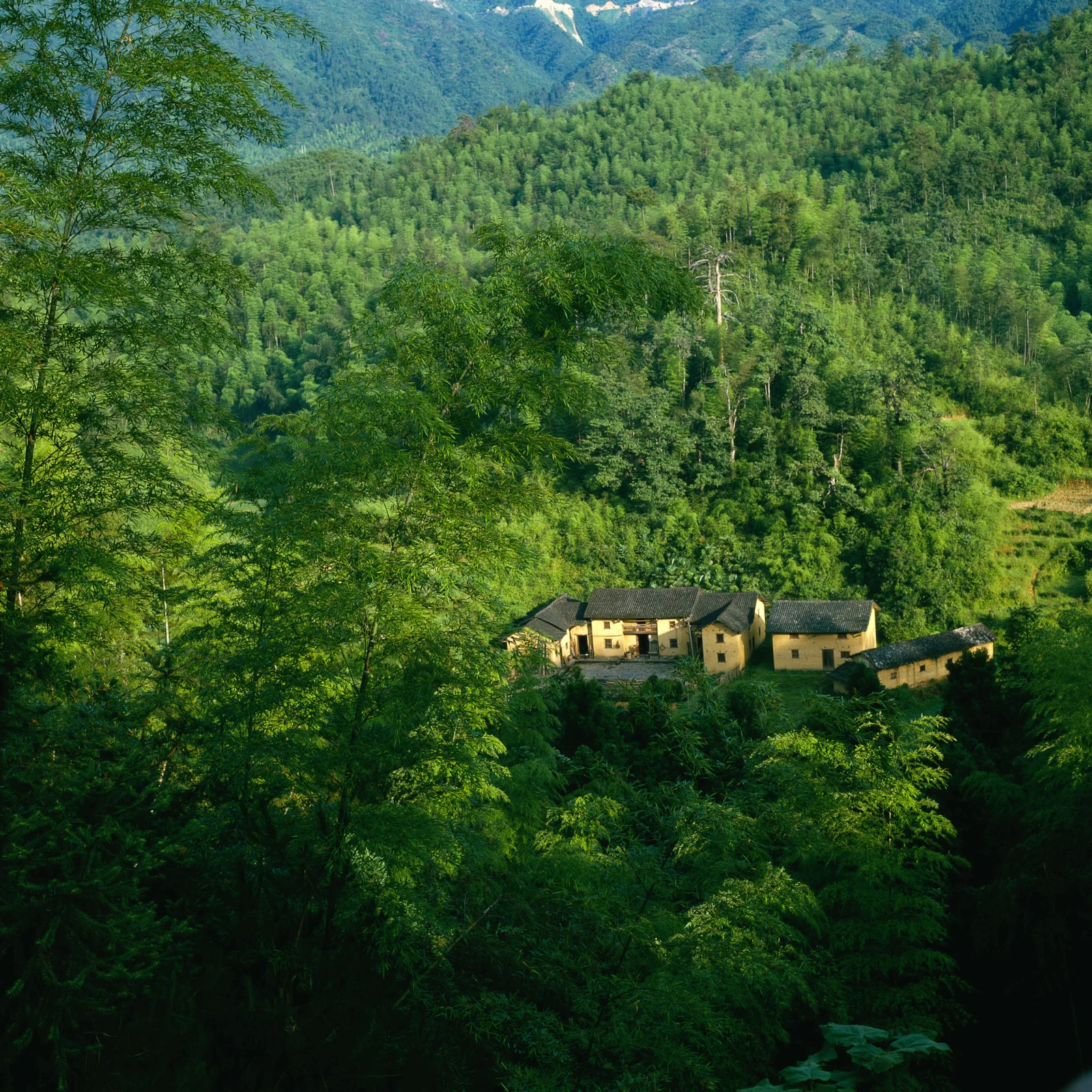 鬱鬱蔥蔥的山林環繞著一座寧靜的山村，遠處可見層疊山巒。