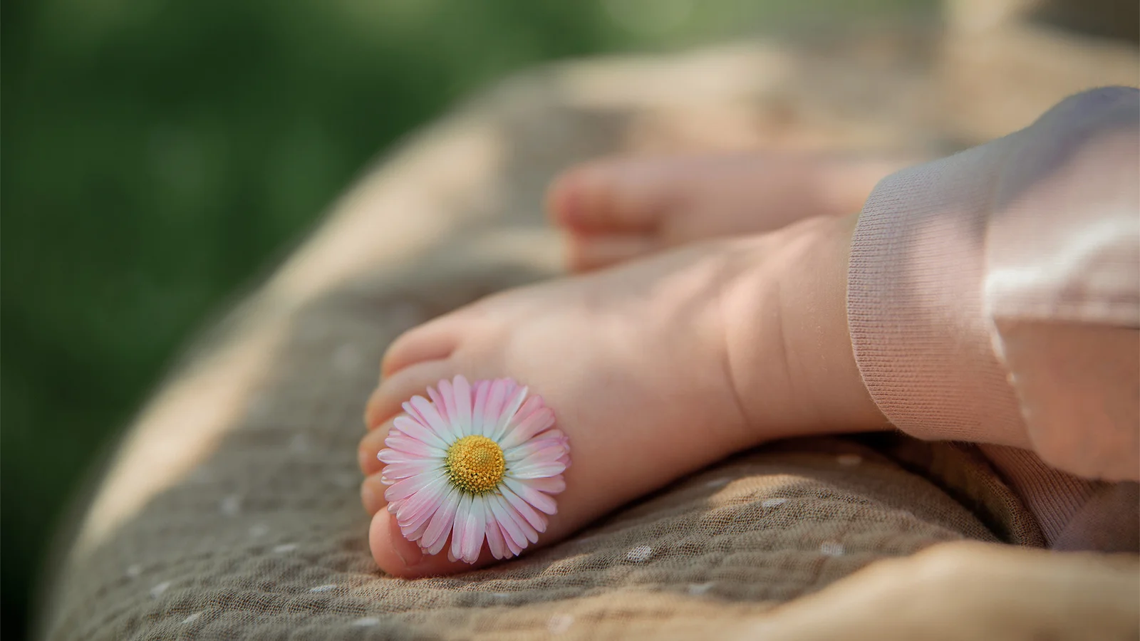 画面中一双赤脚 resting on soft fabric, with a pink daisy placed on one toe.