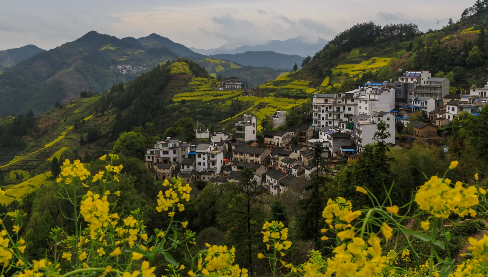 群山環繞的山村坐落在層疊的綠色山坡間，前景盛開著大片黃色花朵。