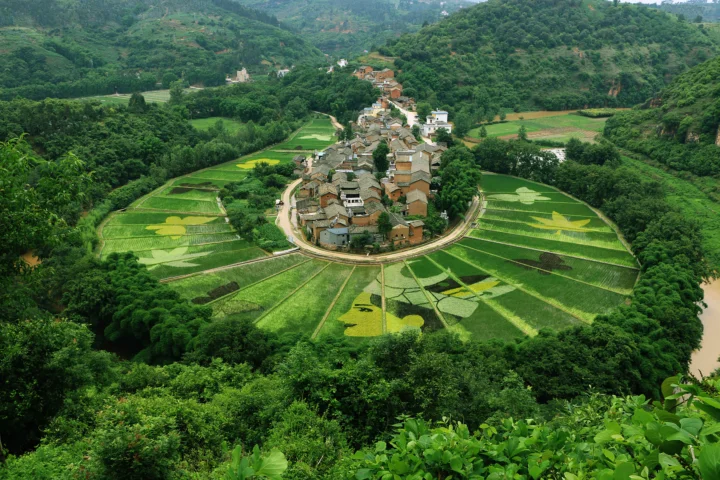 绿色山坡环绕着一座村落，周围分布着整齐的稻田和林地。