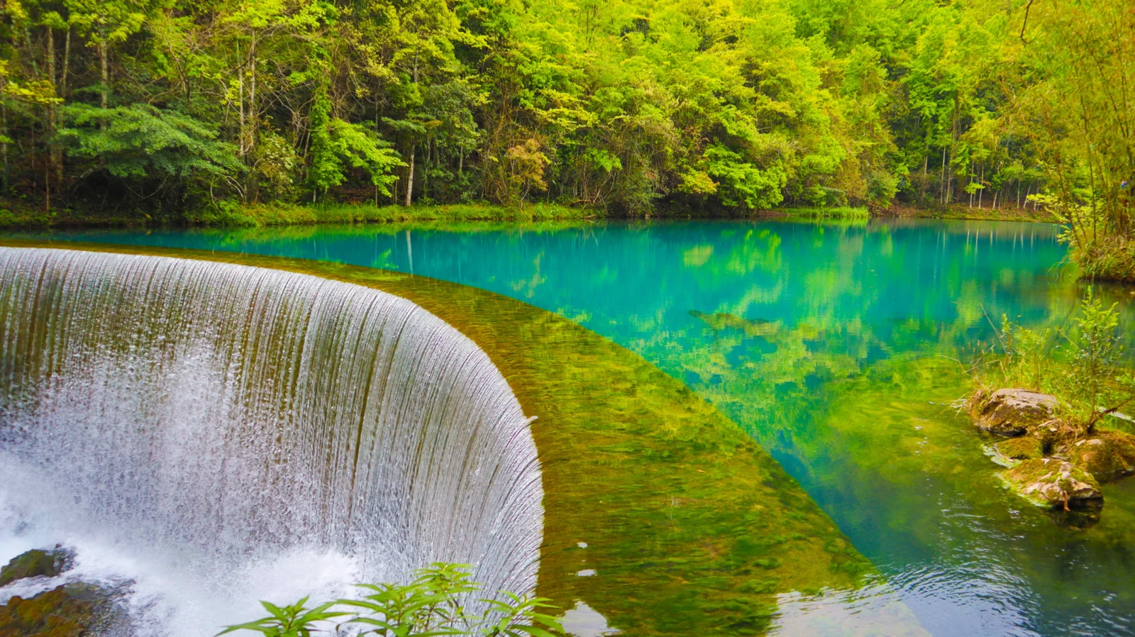 一片碧绿色湖泊坐落在茂密森林之间，前景瀑布沿弧形堤坝倾泻而下。