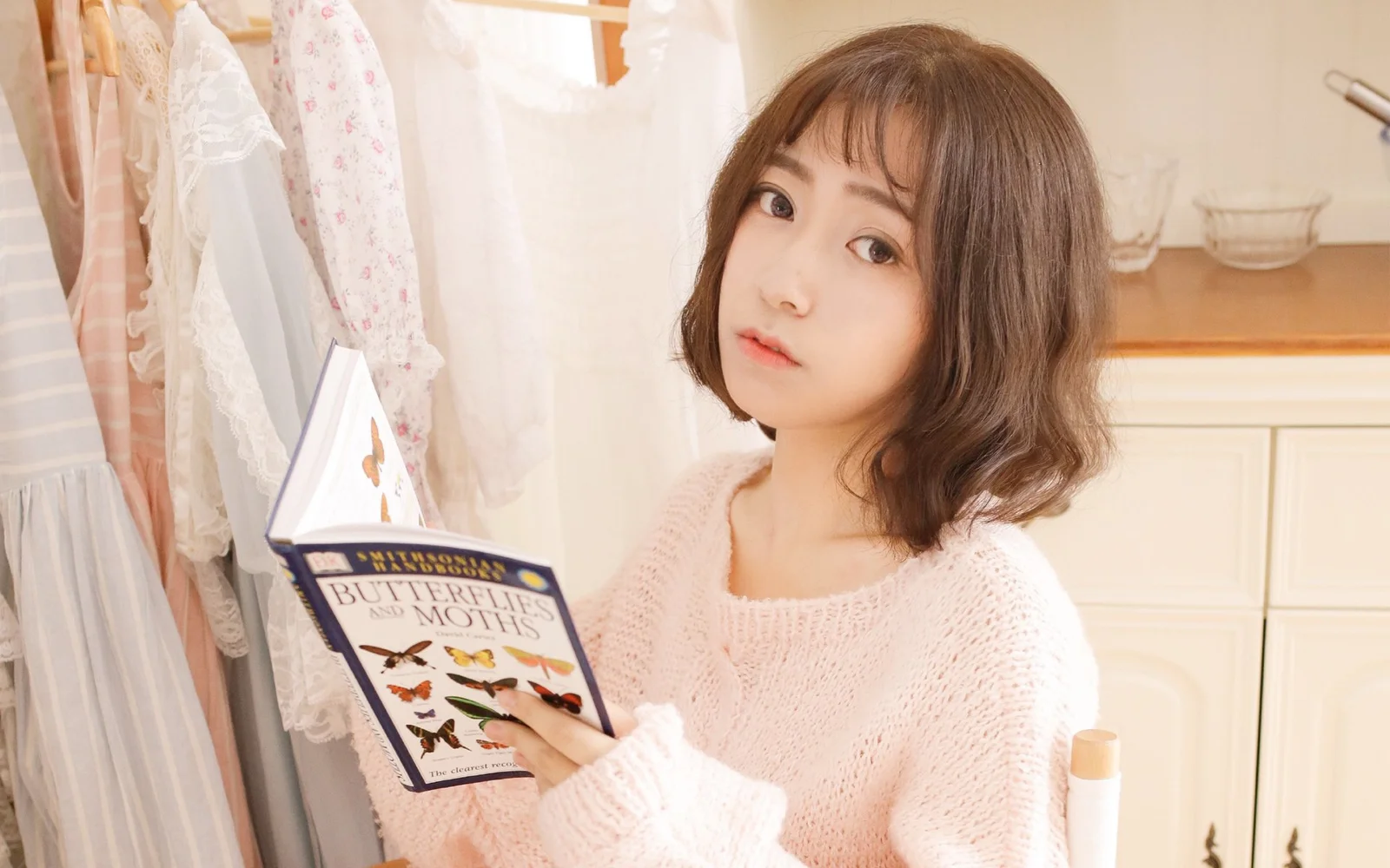 一名成年女性坐在室内阅读一本蝴蝶图鉴。