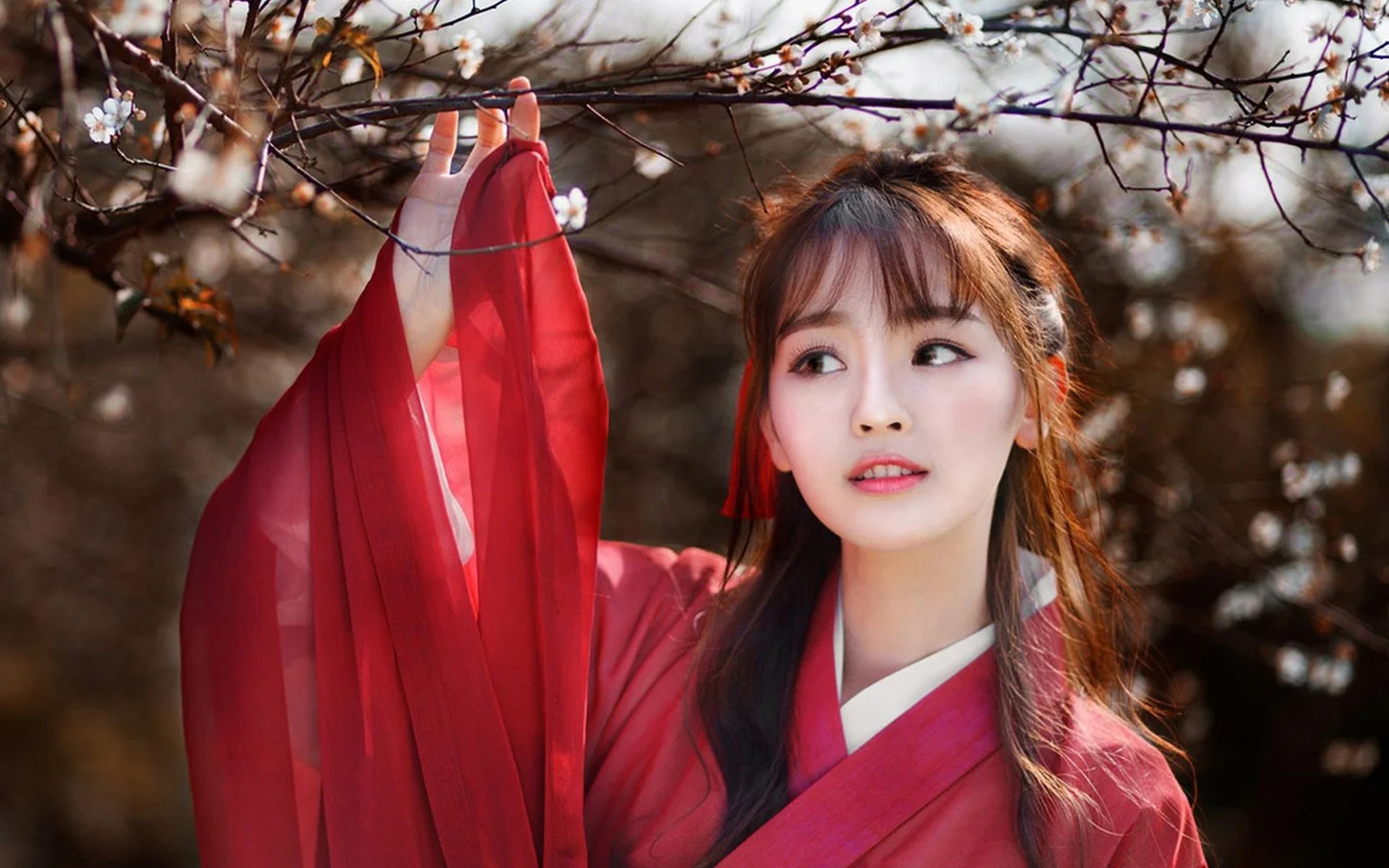 一名身穿红色传统服饰的女子站在开花树枝旁。