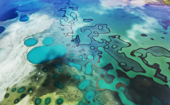 俯瞰碧绿色湖水与浅色地表交织形成的自然纹理。