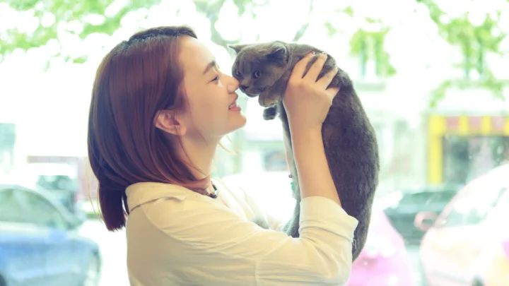 一名女子在室内举起一只灰色猫咪并与它亲近。