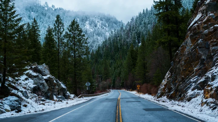 一条穿过积雪松林与山谷的公路通向远处的雪山。