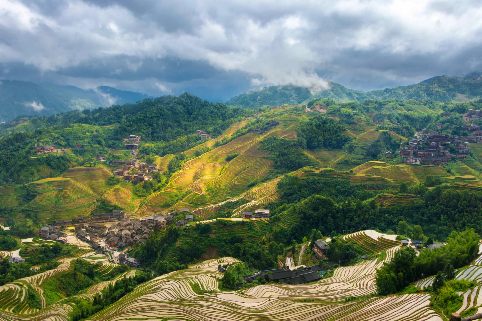 层层叠叠的梯田铺展在群山之间，远处山峰笼罩在云雾中。
