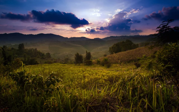 夕阳穿过云层，照亮了起伏的山丘和前景田野。