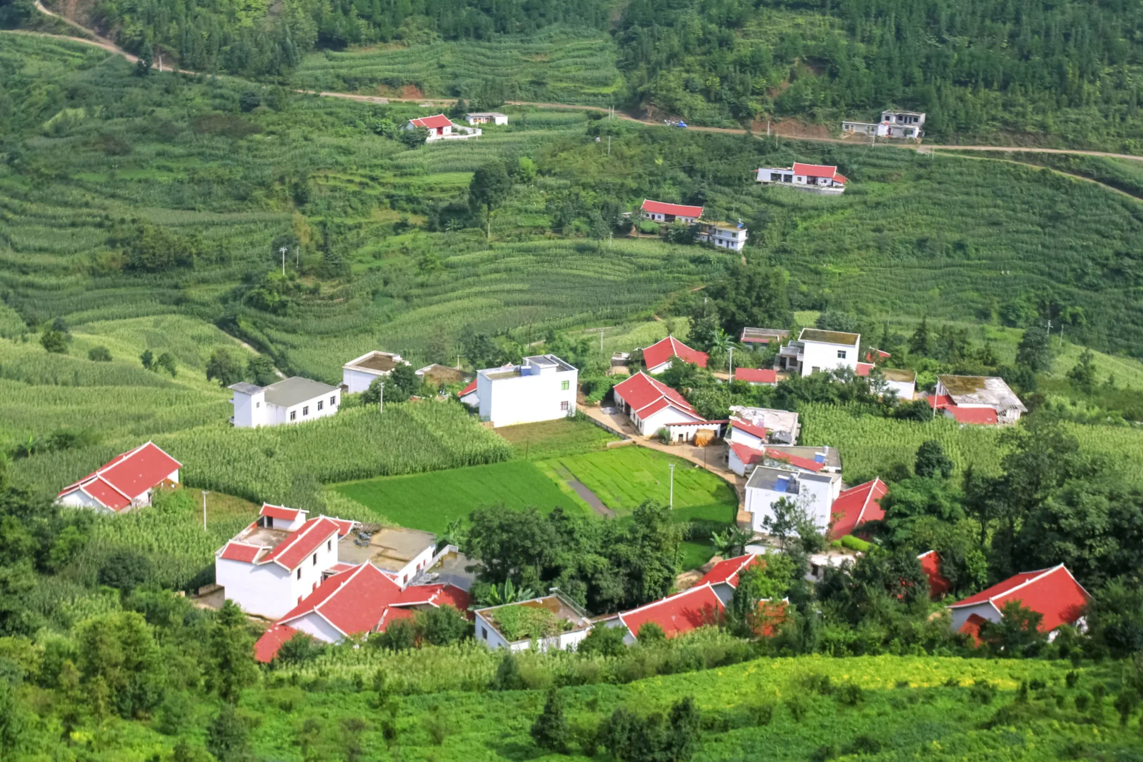 層疊的綠色田地環繞著散布在山坡上的紅頂房屋。