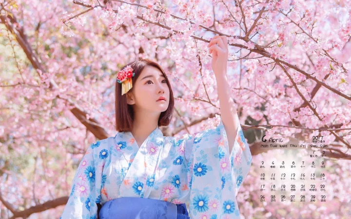 一名身穿浅蓝色和服的女子站在盛开的樱花树下伸手触碰枝条。