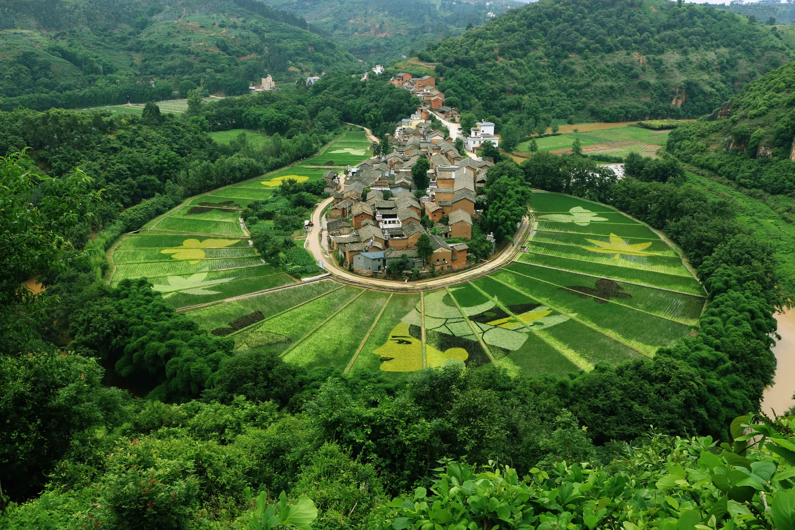 绿色山坡环绕着一座村落，周围分布着整齐的稻田和林地。