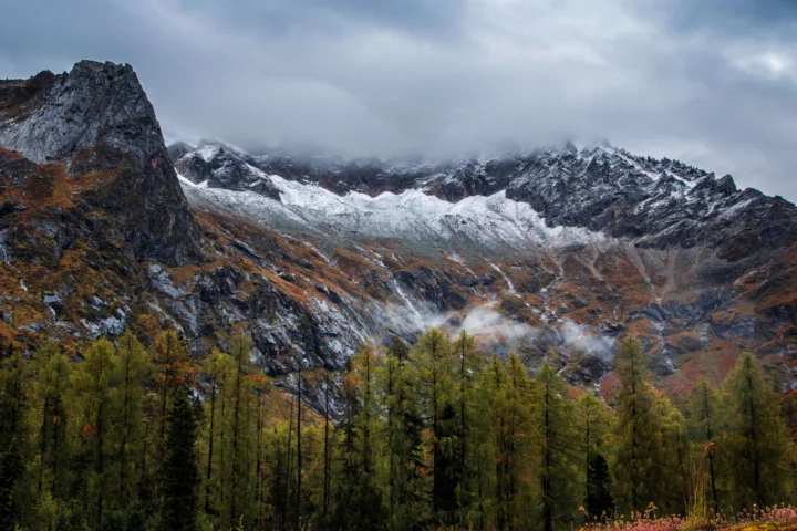 乌云笼罩的雪山坐落在秋色森林之后，山坡间可见薄雾与溪流。