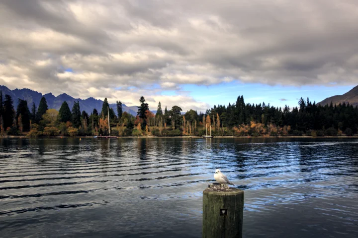 湖面倒映着阴云与蓝天，远处是群山、森林和湖岸景色。