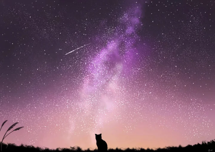 粉紫色银河横跨繁星密布的夜空，地平线上可见一只猫的剪影。