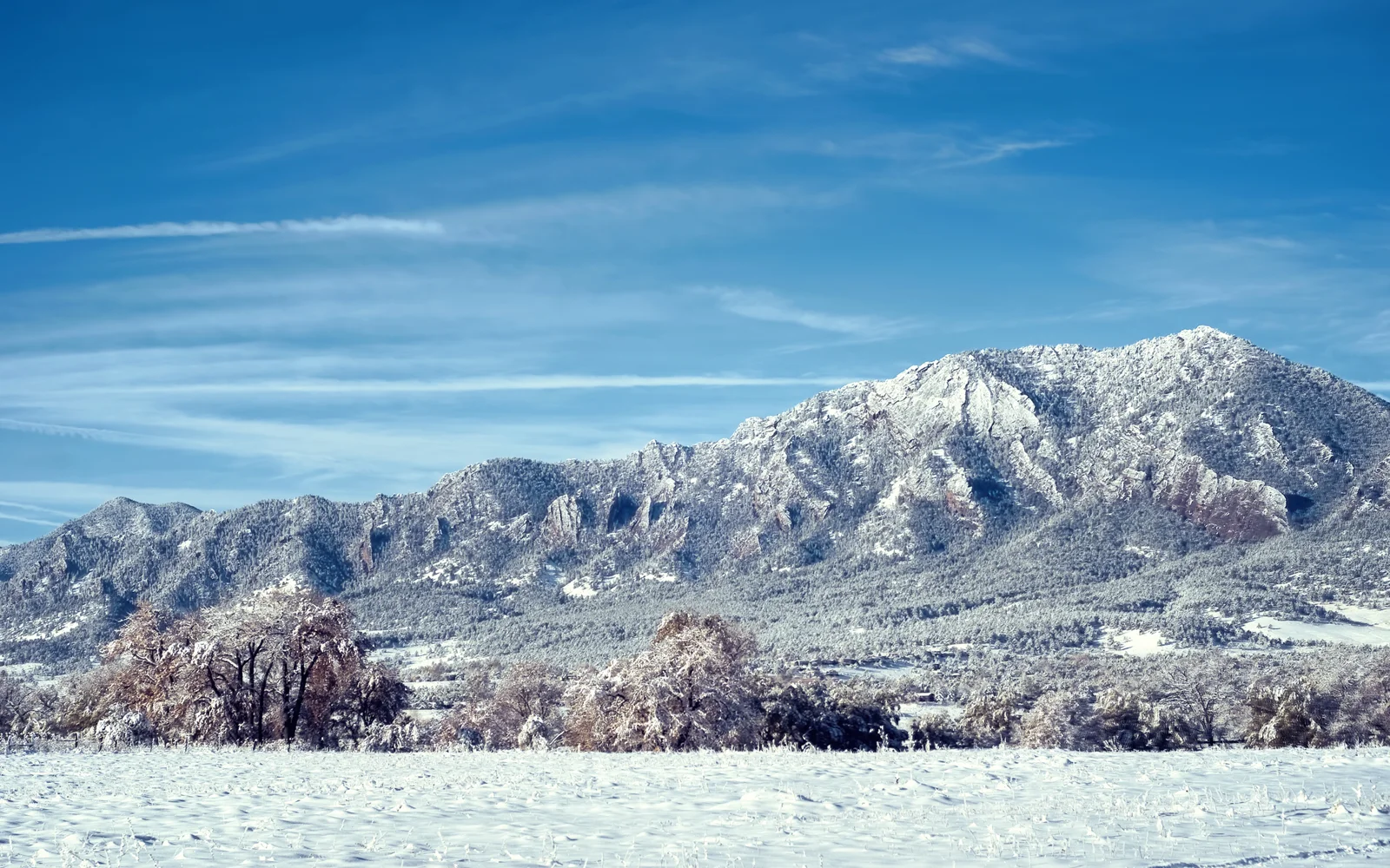 蓝天下的雪山、覆雪树林与广阔雪原构成宁静的冬季风景。