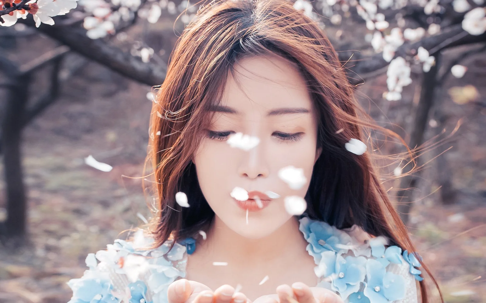 一名女子在樱花树下闭眼捧着飘落的花瓣。