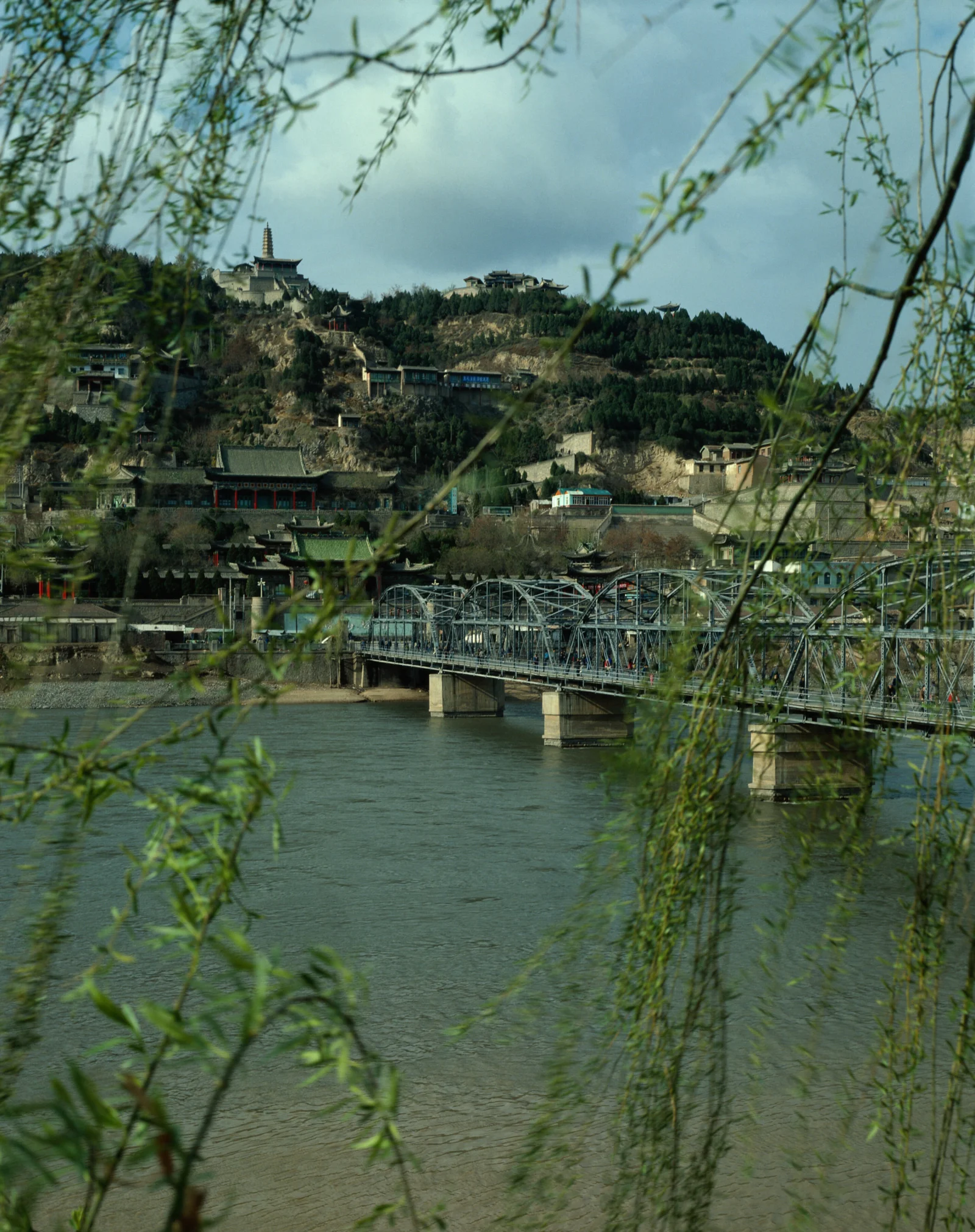 柳枝掩映下，河流穿过山城与古桥，构成宁静的山水风景。