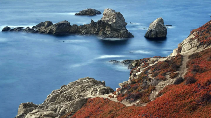 蓝色海水环绕着远近交错的岩石海岸，前景覆盖着大片红色灌木。