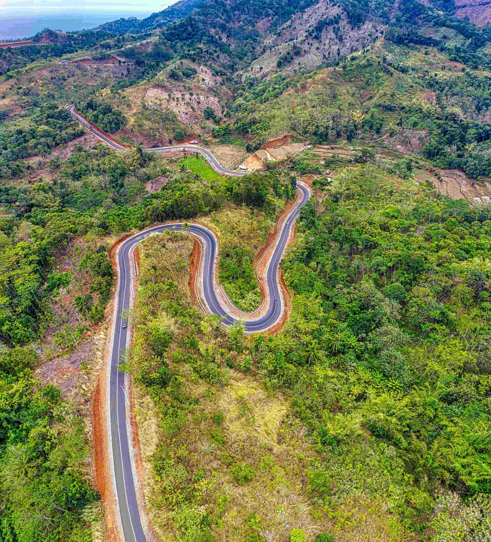 蜿蜒的公路穿过郁郁葱葱的山地森林，远处可见层叠山坡和海岸线。