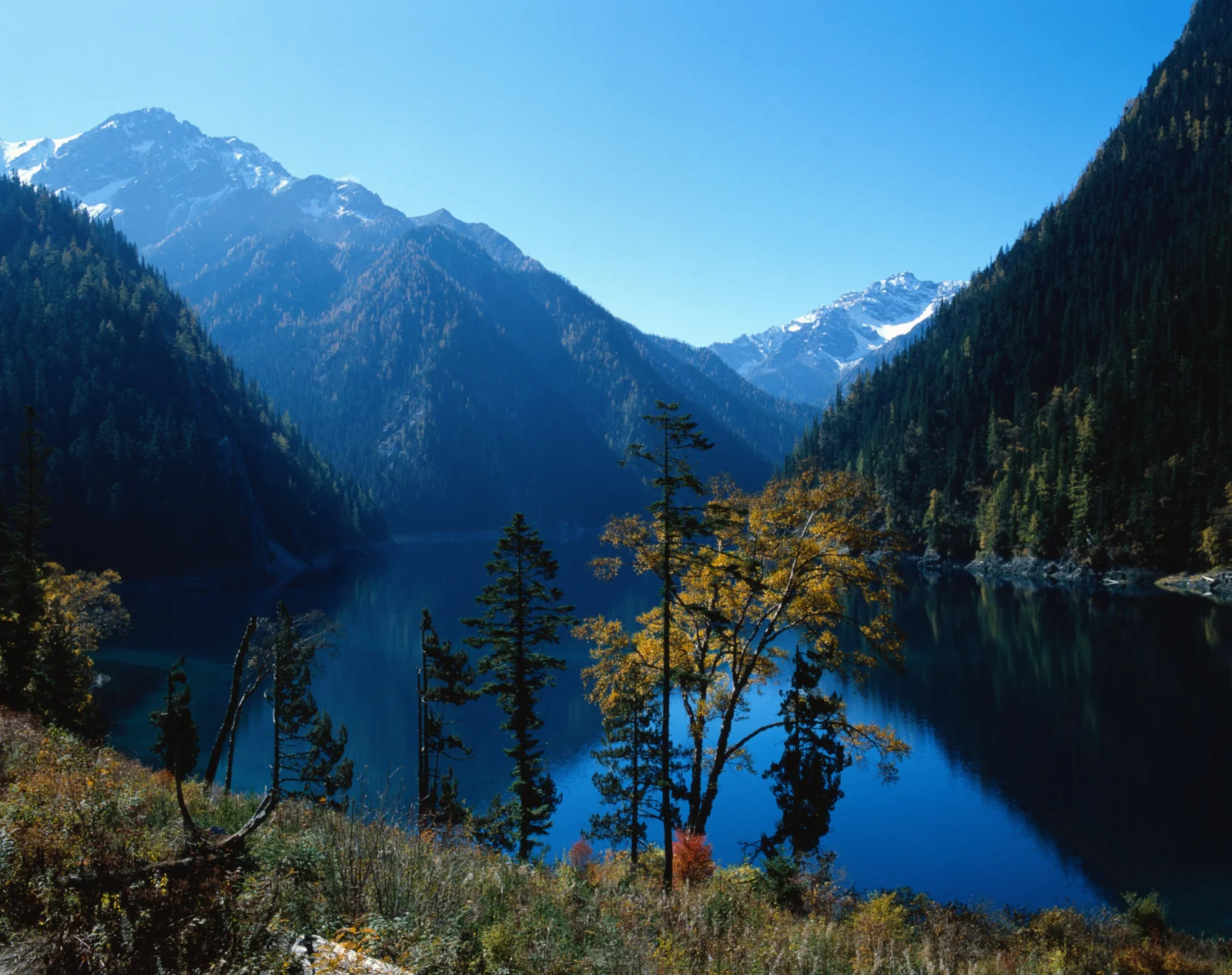 蓝天下的雪山、森林与宁静湖泊构成壮丽的自然风景。