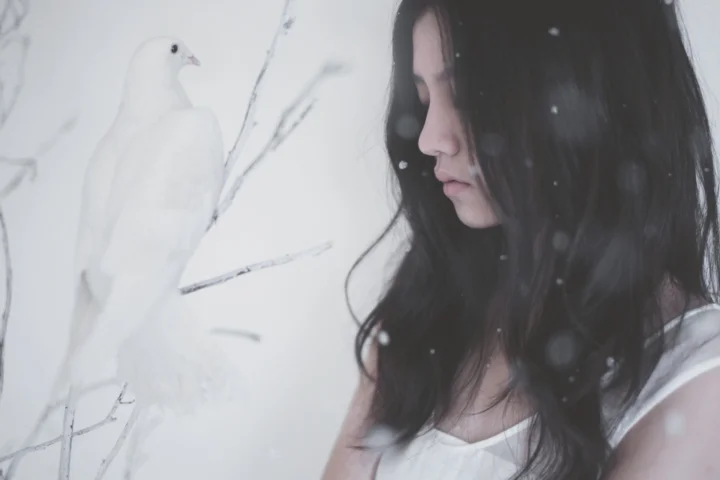 一名长发女性侧脸面对一只白鸽，画面中飘落着雪花。
