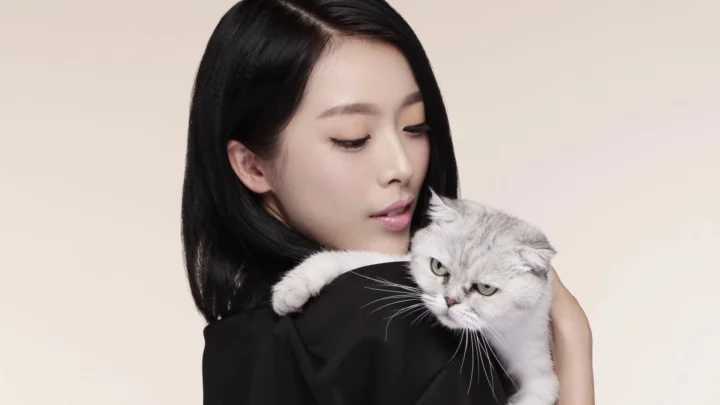 一位成年女性怀抱灰色猫咪，面向浅色背景构成温馨的横幅画面。