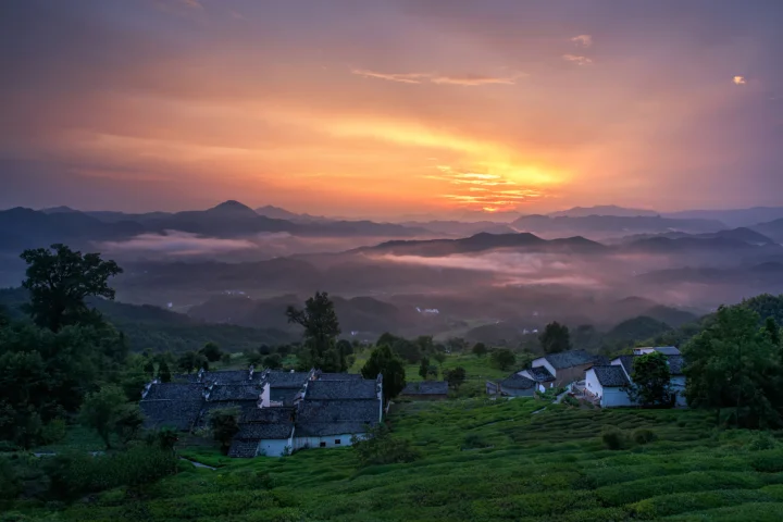夕阳映照群山、云雾、山村屋舍与层叠茶园。