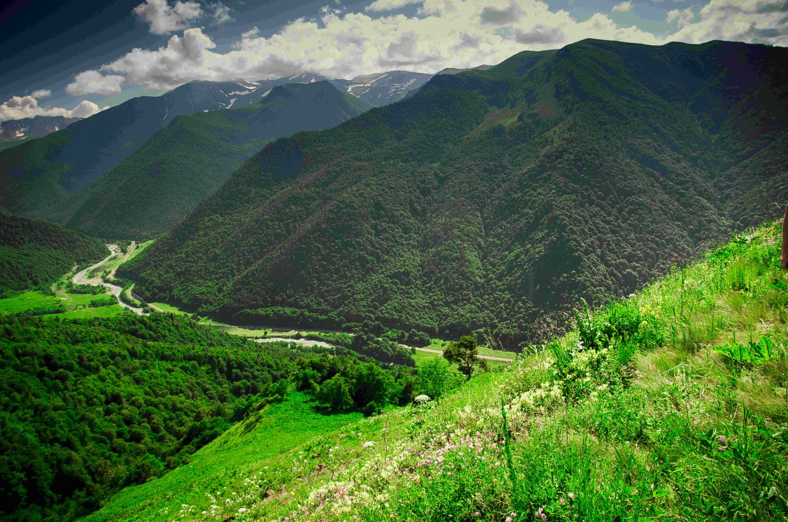 绿色山坡、森林、蜿蜒河流与远处积雪山峰构成壮丽的山谷景色。