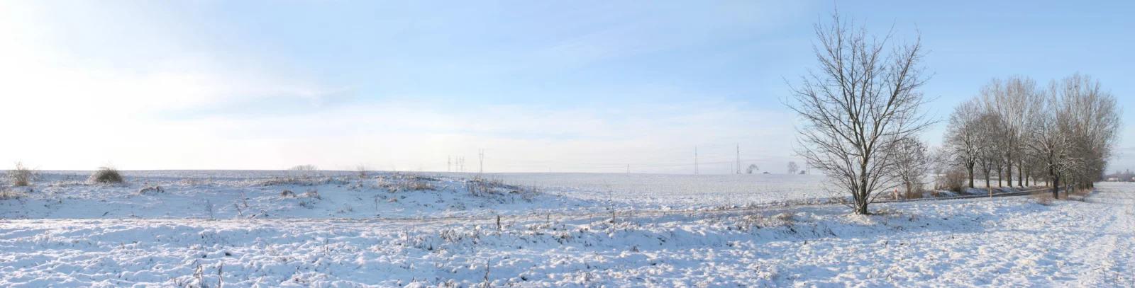 雪に覆われた広い野原が遠くまで続き、右側には葉を落とした木々が並び、明るく澄んだ空が広がっている。