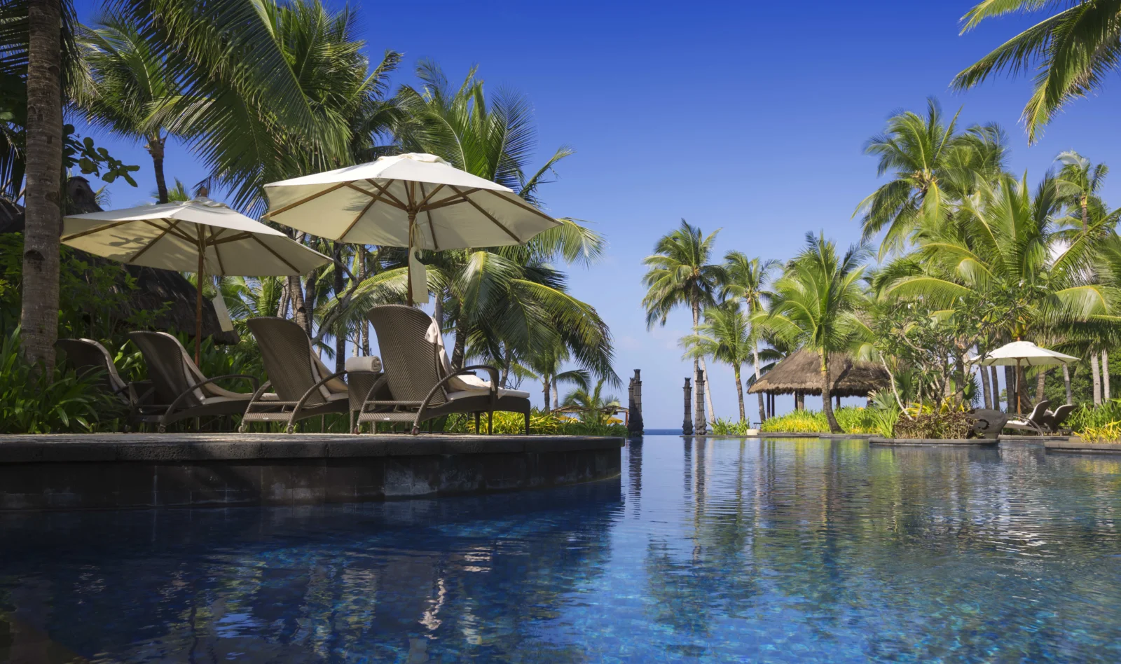 阳光下的无边泳池 surrounded by palm trees, with a tropical shoreline visible beyond.