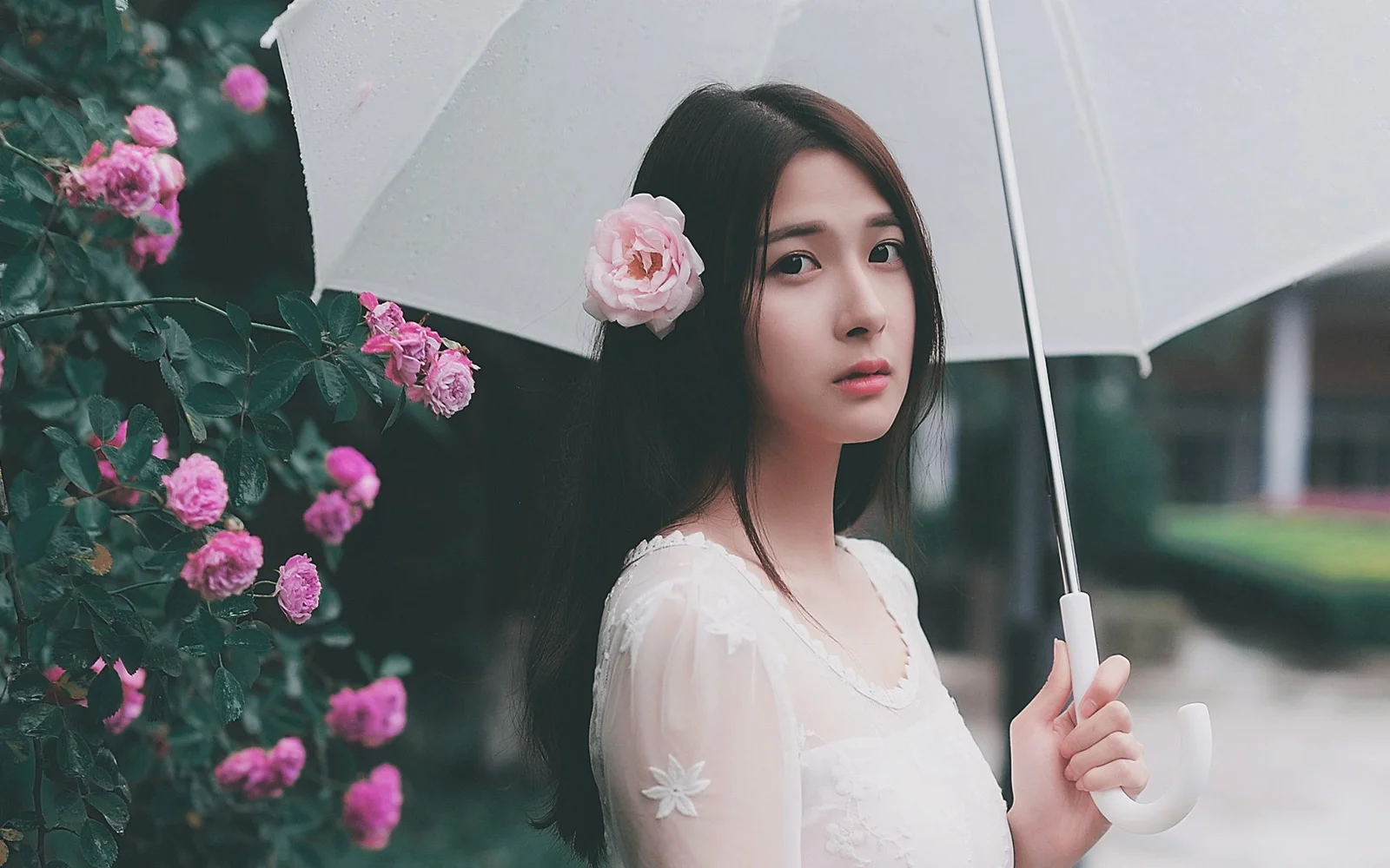 一名年轻女子手持白色雨伞站在盛开的粉色玫瑰旁。