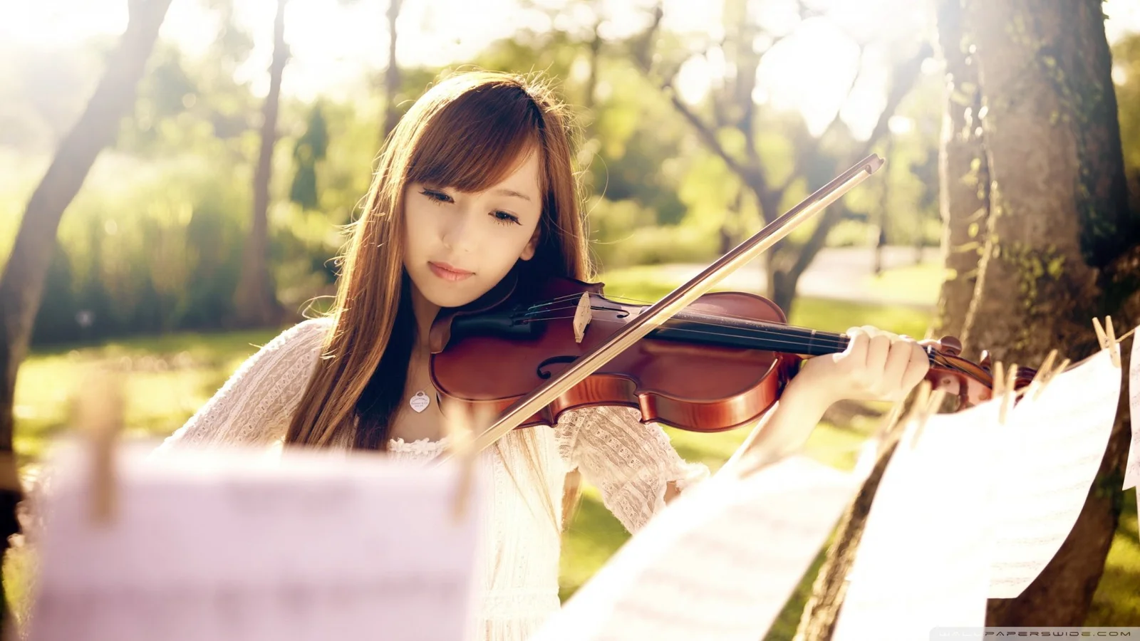 女性が木々の間で日差しを浴びながら、目の前の楽譜を見てバイオリンを弾いている。