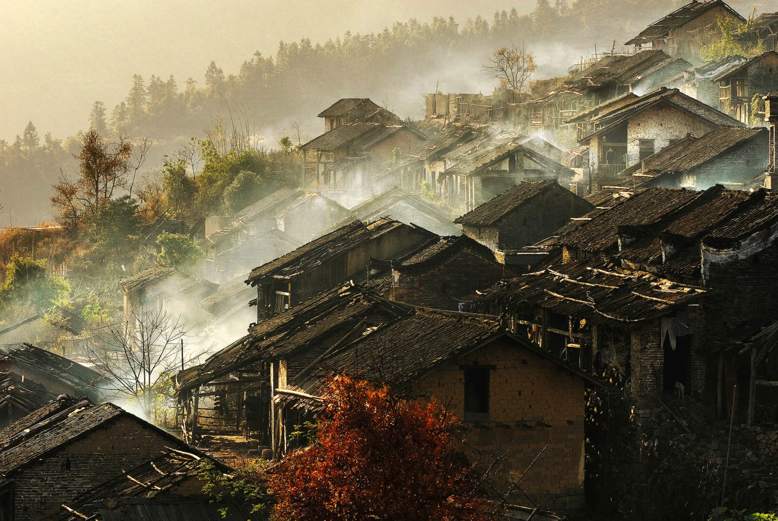 层叠的传统民居沿山坡铺展开来，晨雾、树木与暖色光线交织成宁静的乡村景象。