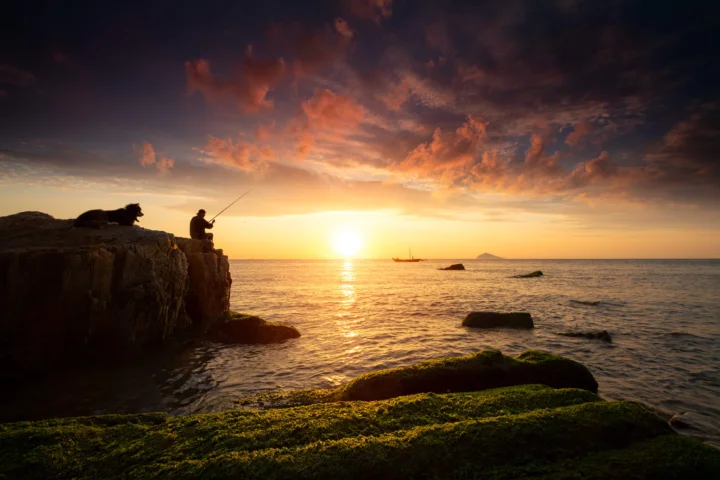 夕阳映照着海面与覆有绿藻的岩石海岸，天空铺满绚丽的晚霞。