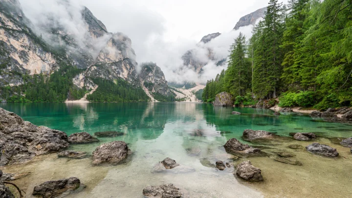 雾气缭绕的高山、森林与清澈湖泊倒映在平静水面上，前景散布着岩石。