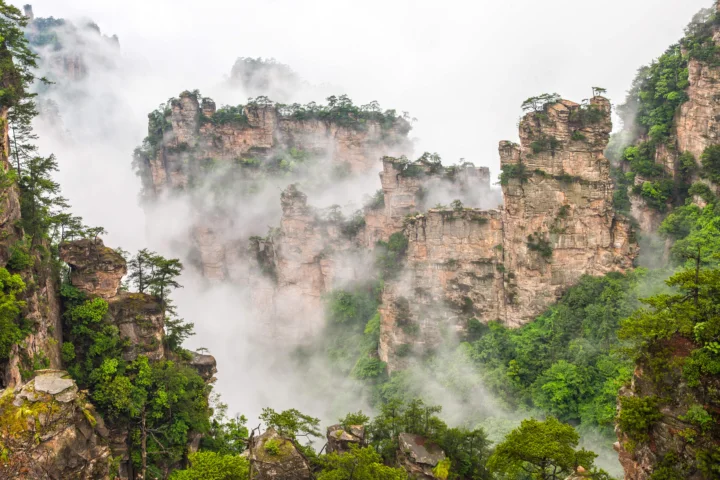 云雾环绕的峻峭山峰与葱郁森林构成壮丽的自然风景。