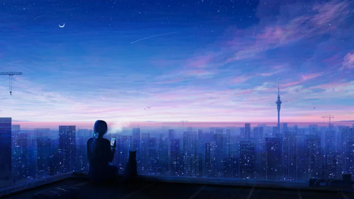 暮色与星空下的城市天际线延伸至远方，前景可见一名人物的剪影。