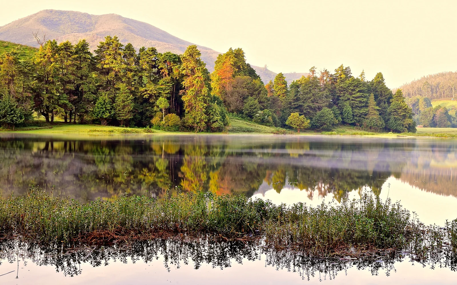 平靜的湖泊倒映著湖畔森林與遠處的山巒。