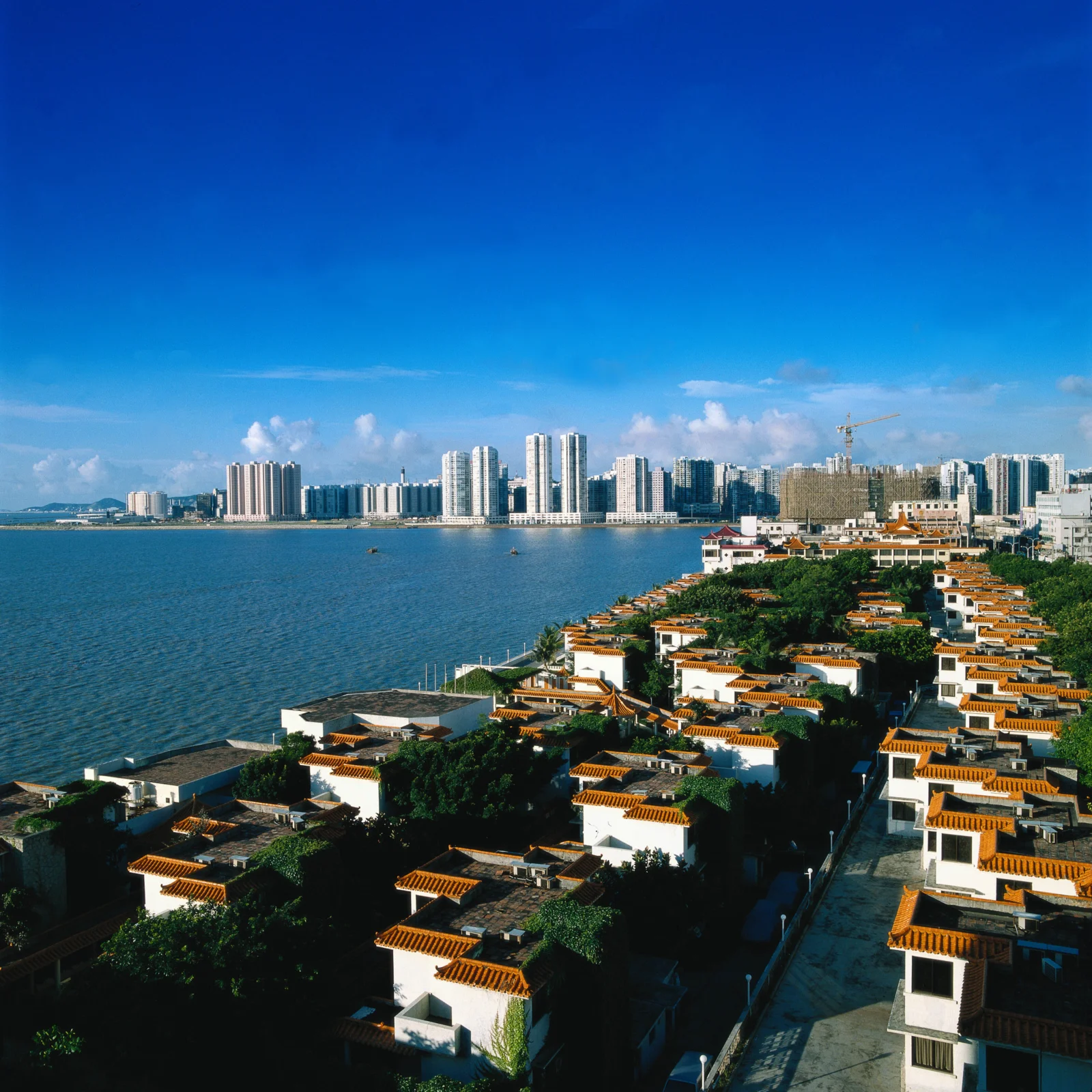 蓝天下的水湾连接着前景的传统屋顶建筑与远处的现代城市天际线。