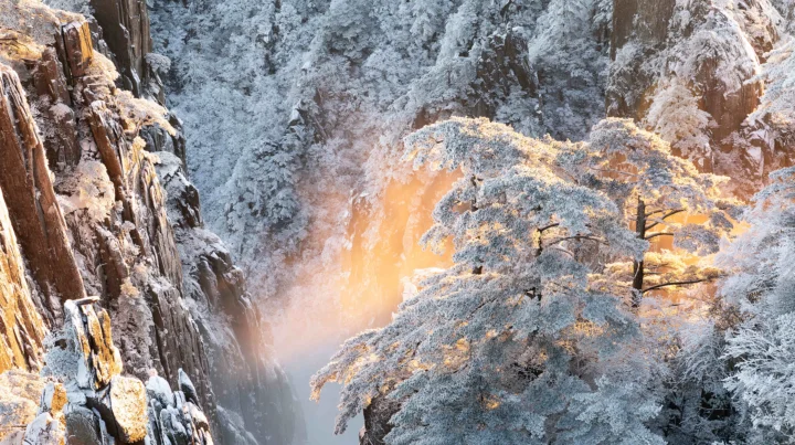 阳光照耀着被积雪覆盖的山谷、峭壁与森林。