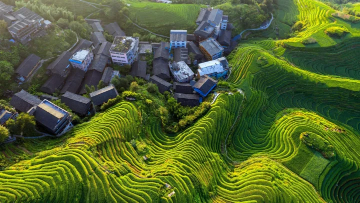航拍视角展现了阳光下起伏延展的绿色梯田与其间的山村建筑。