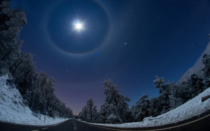 积雪覆盖的森林公路在月光和星空下延伸至远方。