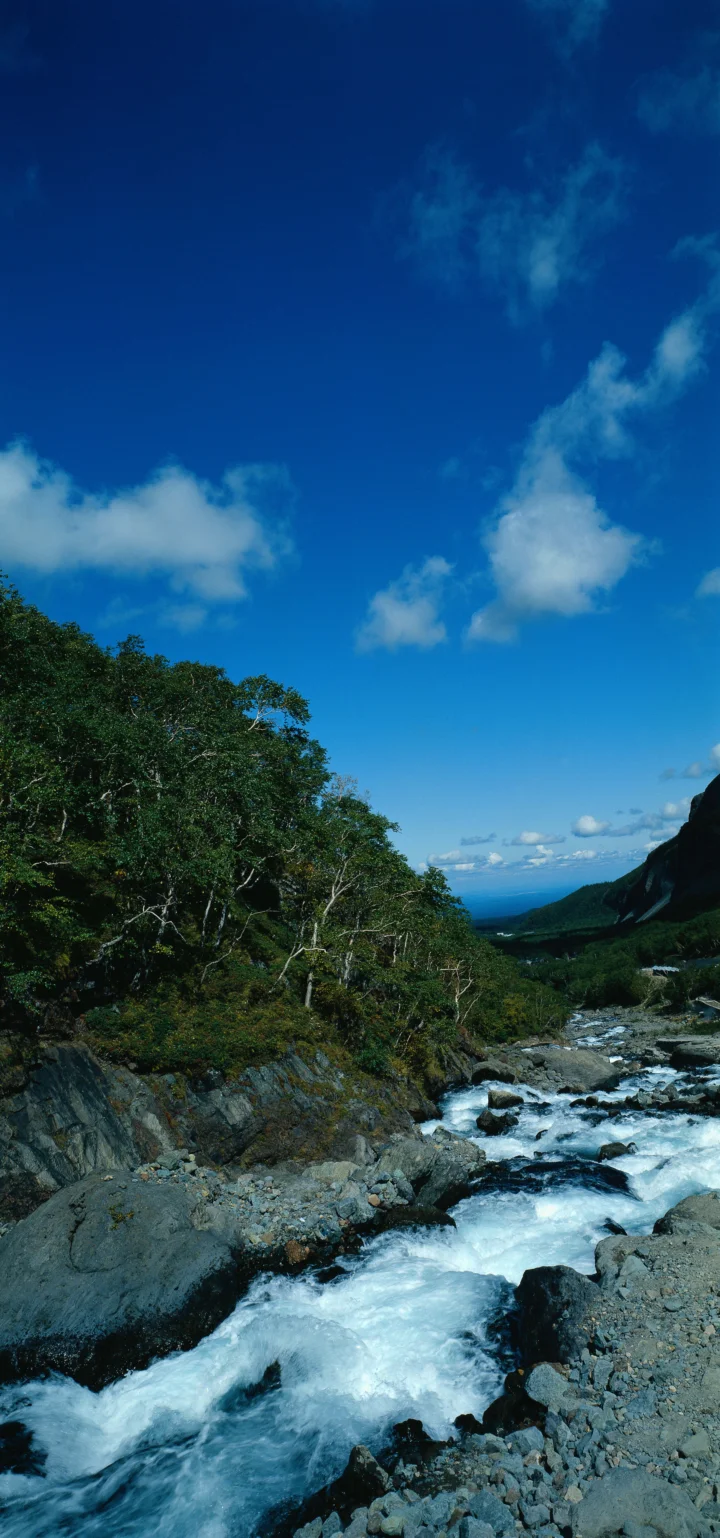 清澈的山间溪流穿过森林与岩石，远处可见山坡，天空湛蓝多云。