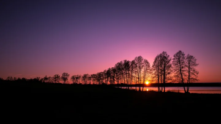 夕阳沉入湖面，树木在绚丽的粉紫色晚霞中形成剪影。
